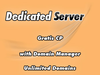 Budget dedicated server hosting service